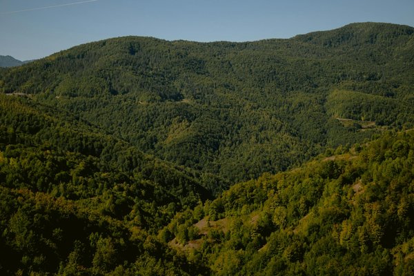 Jeux de société expert : l'art du défi pour les passionnés